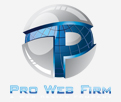 Pro Web Firm